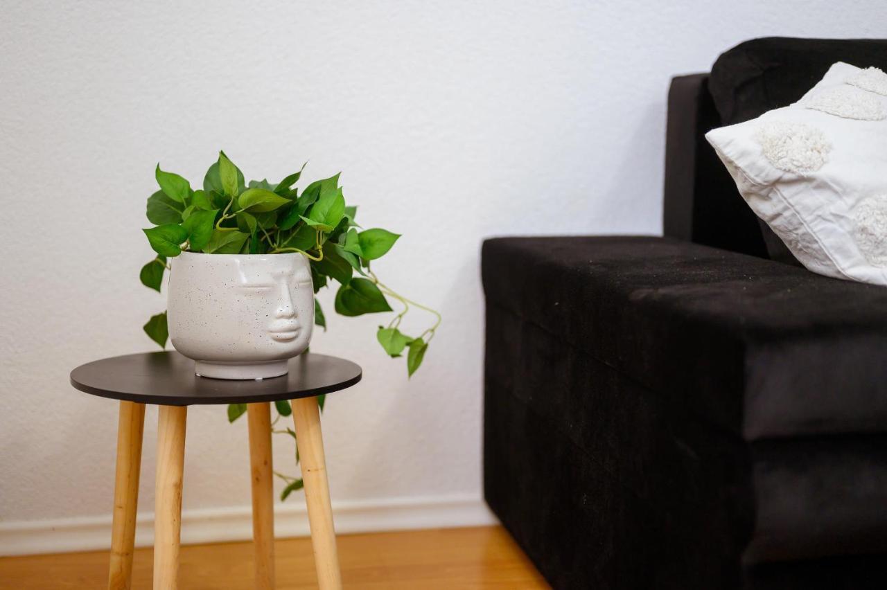 Stela Apartment